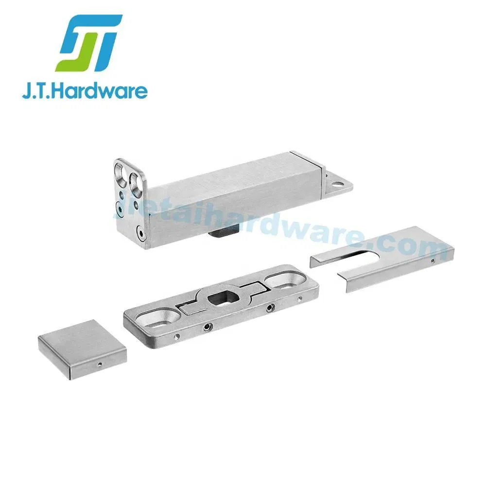Stainless Steel Adjustable Conceal Side Axis Pivot Hinge Floor Spring for Glass Door