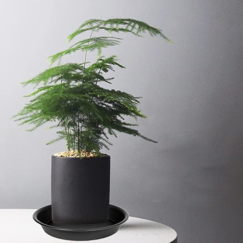 Customized Plastic Easily Cleaned Space-Saving Durable Home Plant Saucer Garden Pot Trays