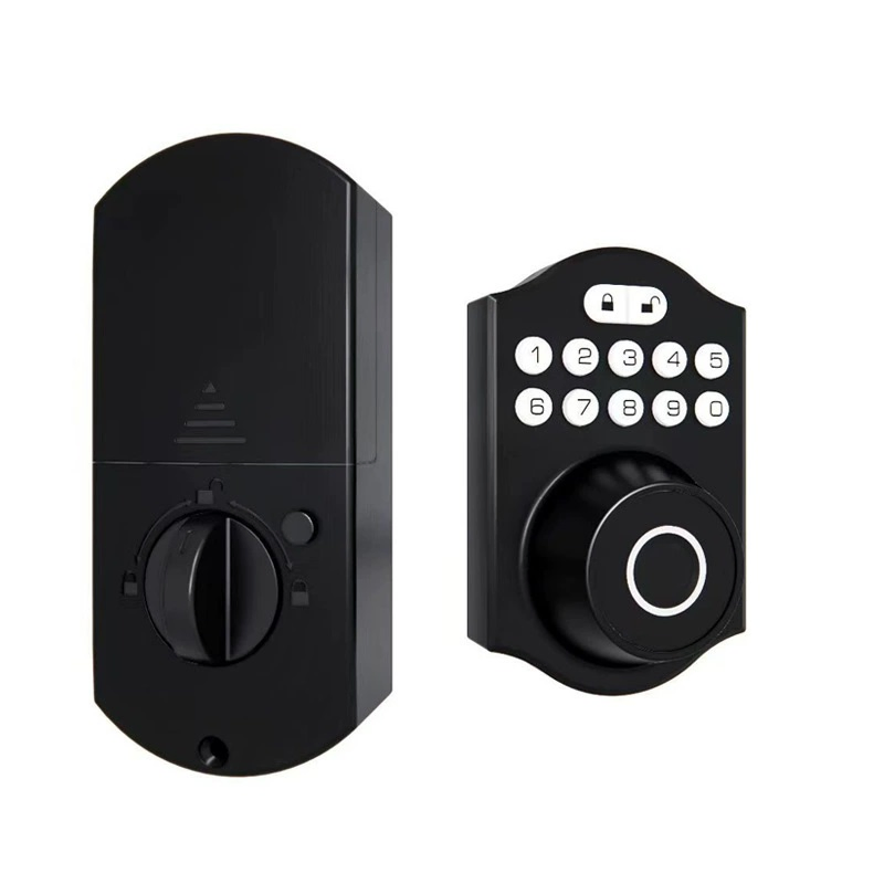 Fingerprint Password Tuya APP Keyless Door Lock Smart Lock with Camera