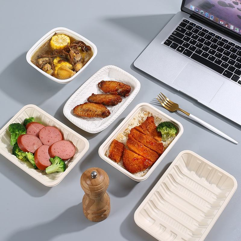 Cornstarch Eco Friendly Biodegradable Disposable Dinner Plates