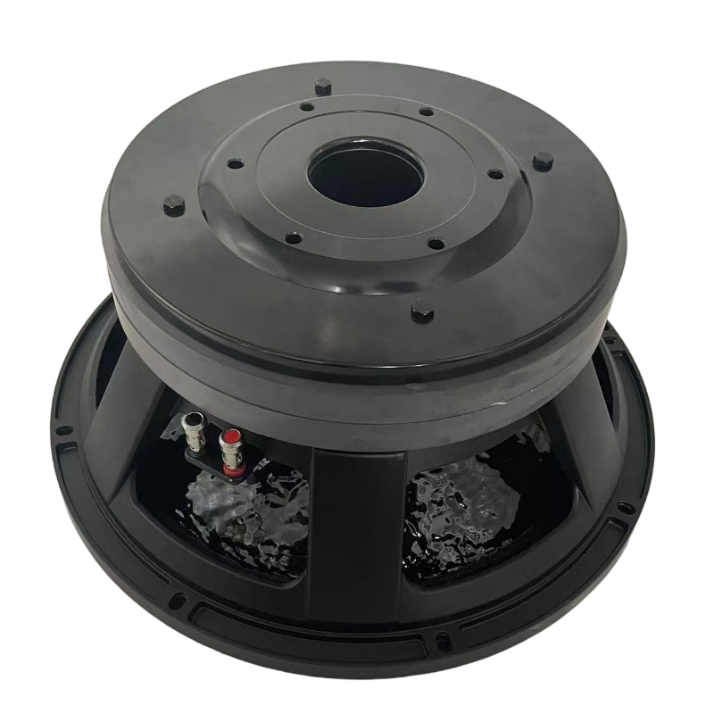 Профессиональный 18-дюймовый сабвуфер для DJ и PA систем