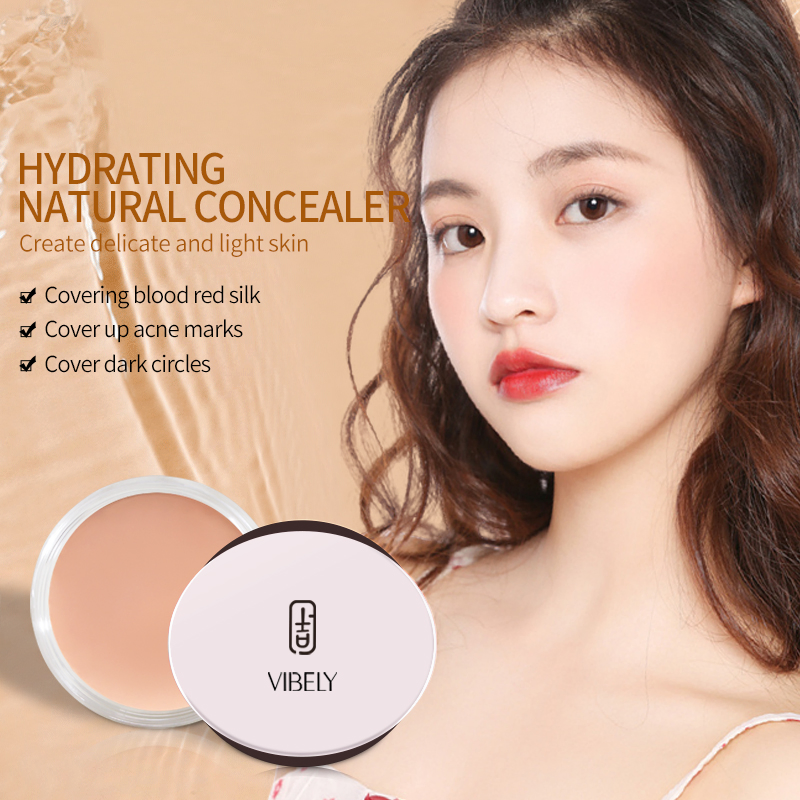 Face Makeup Foundation Waterproof Moisturizing Matte Lasting Full Coverage Contour Concealer