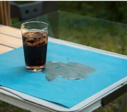 PP Table Mats for Restaurant Furniture Care