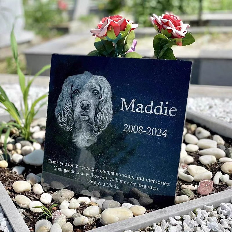 Custom Engraved Black Granite Pet Memorial Stone for Dogs