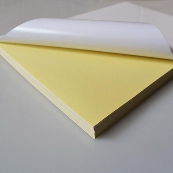 Self Adhesive Paper with Release Paper