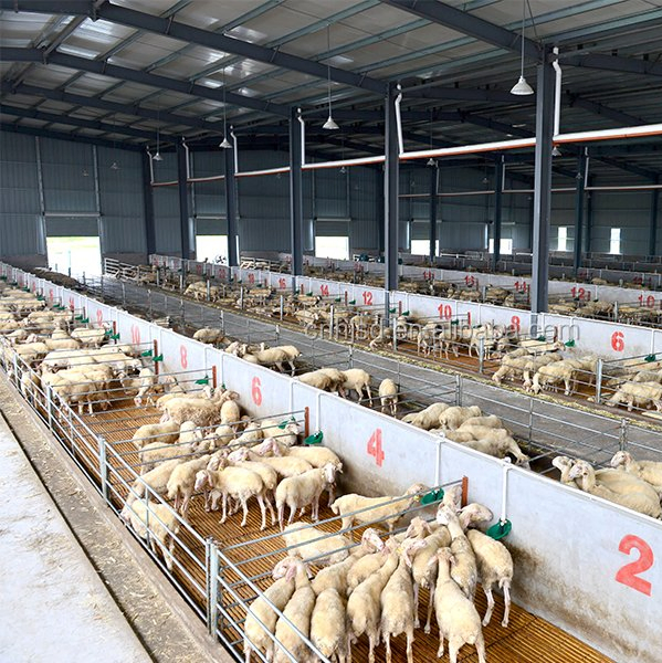 Prefabricated /Prefab Steel Frame Animal Poultry Farm Sheep Goat Storage Metal Shed