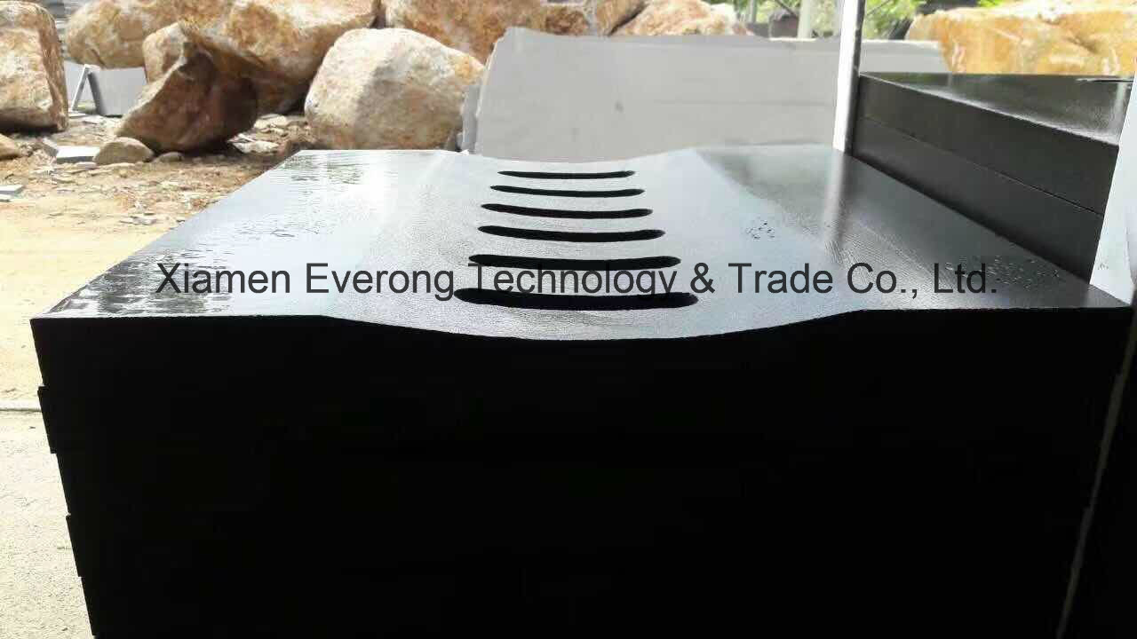 Best Sell G684 Fortune Black Granite Pool Coping Tile for Swimming Pool