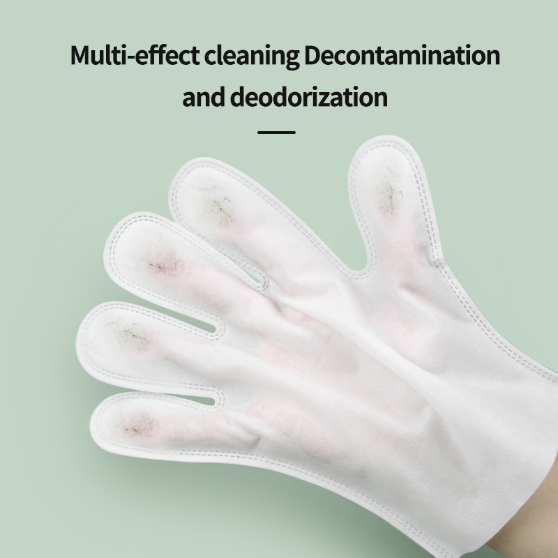 Custom Logo Disposable Non-Woven Fabric Cat Cleaning Gloves Dog Pet Wipes Gloves