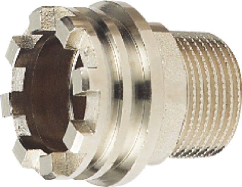 Forging Brass Male or Female PPR Insert for PPR Plastic Pipe