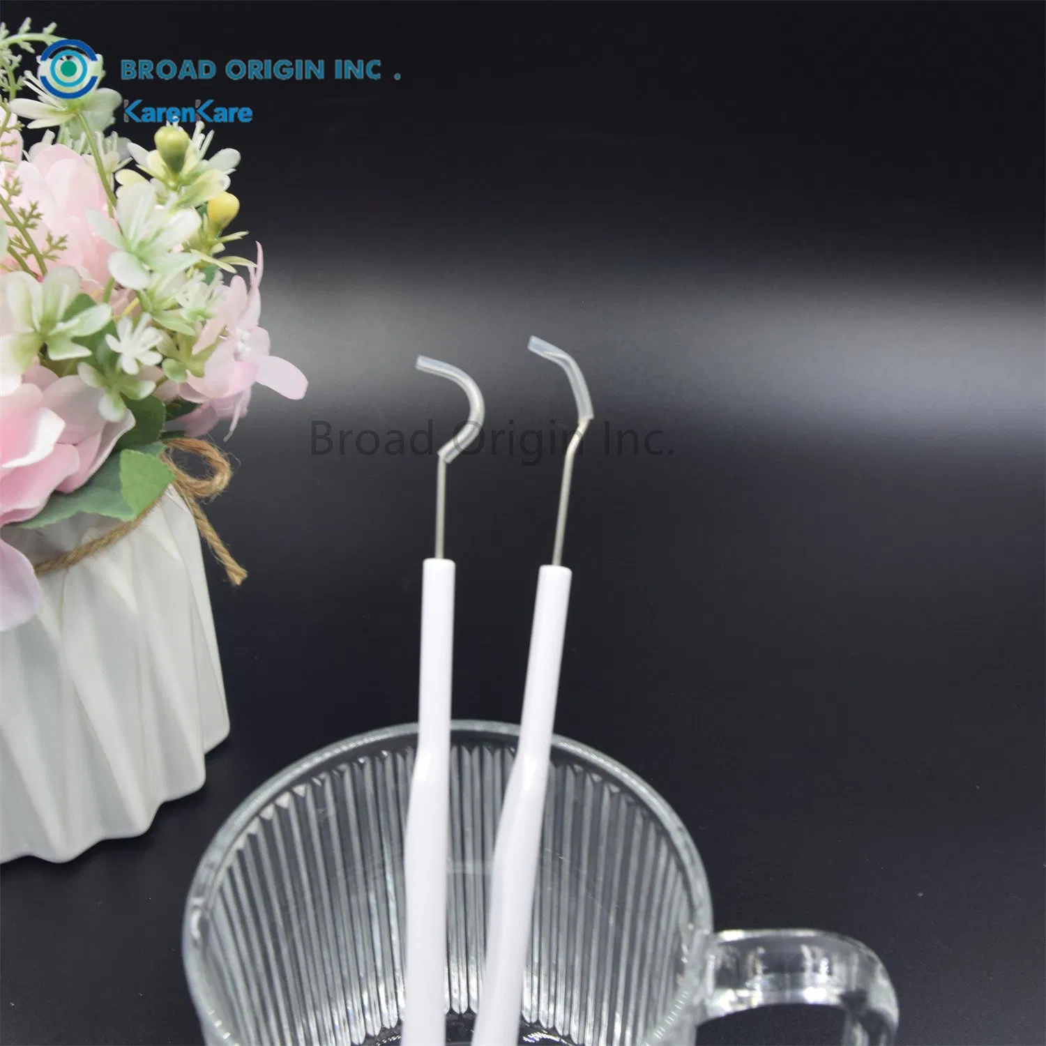 Dental Instruments Kit Stainless Steel Tarter Remover Dental Pick Hygiene Set