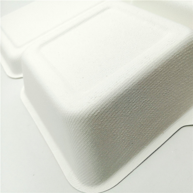 Takeaway Microwavable Bagasse Disposable 2 Compartment Bento Food Storage Lunch Boxes / Meal Prep Containers