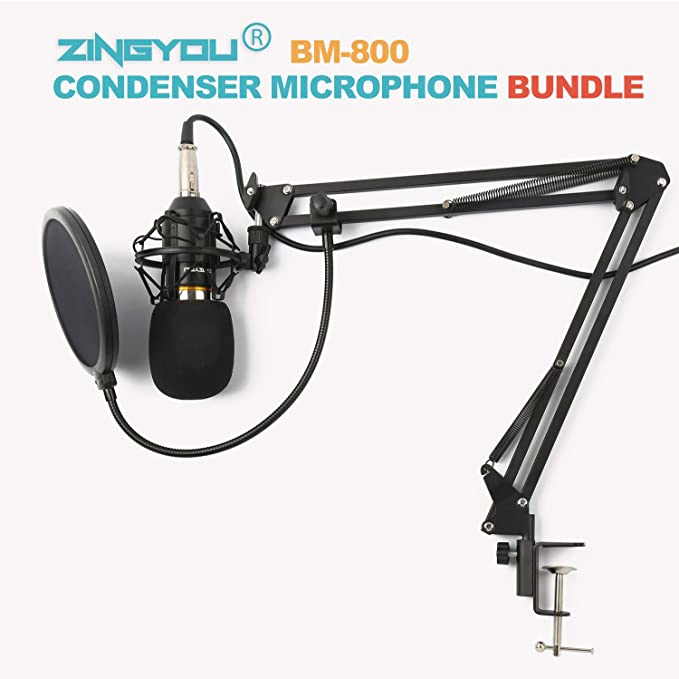 Bm800 Voice Recording Podcasting Studio Adjustable Condenser Microphone for Youtuber Online Chatting