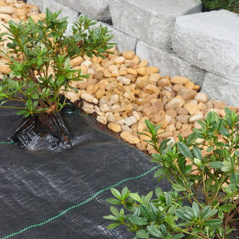 PP Woven Membrane PE Ground Cover Weedmat Anti Grass Weed Control Cloth Bloker Mulch Film Landscape Fabric Barrier Mat