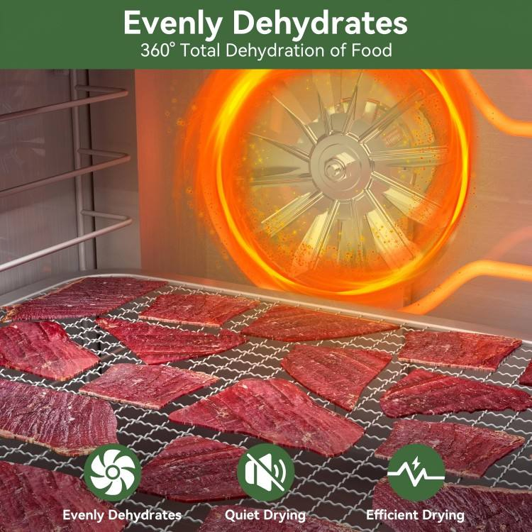 Stainless Steel Food Dehydrator 10 Tray Electric Meat Fruit Dryer Machine