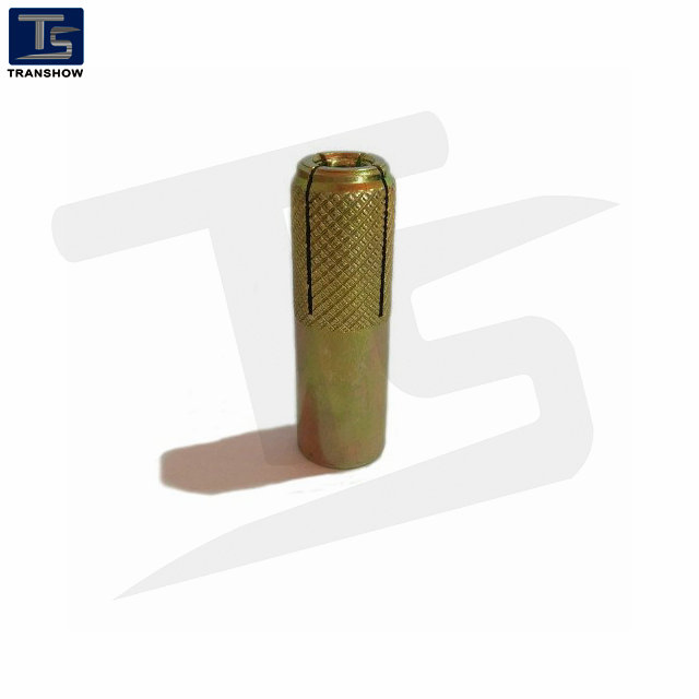 Manufacture High Quanlity of Steel / Stainless Steel Drop in Anchor Wtih Knurled