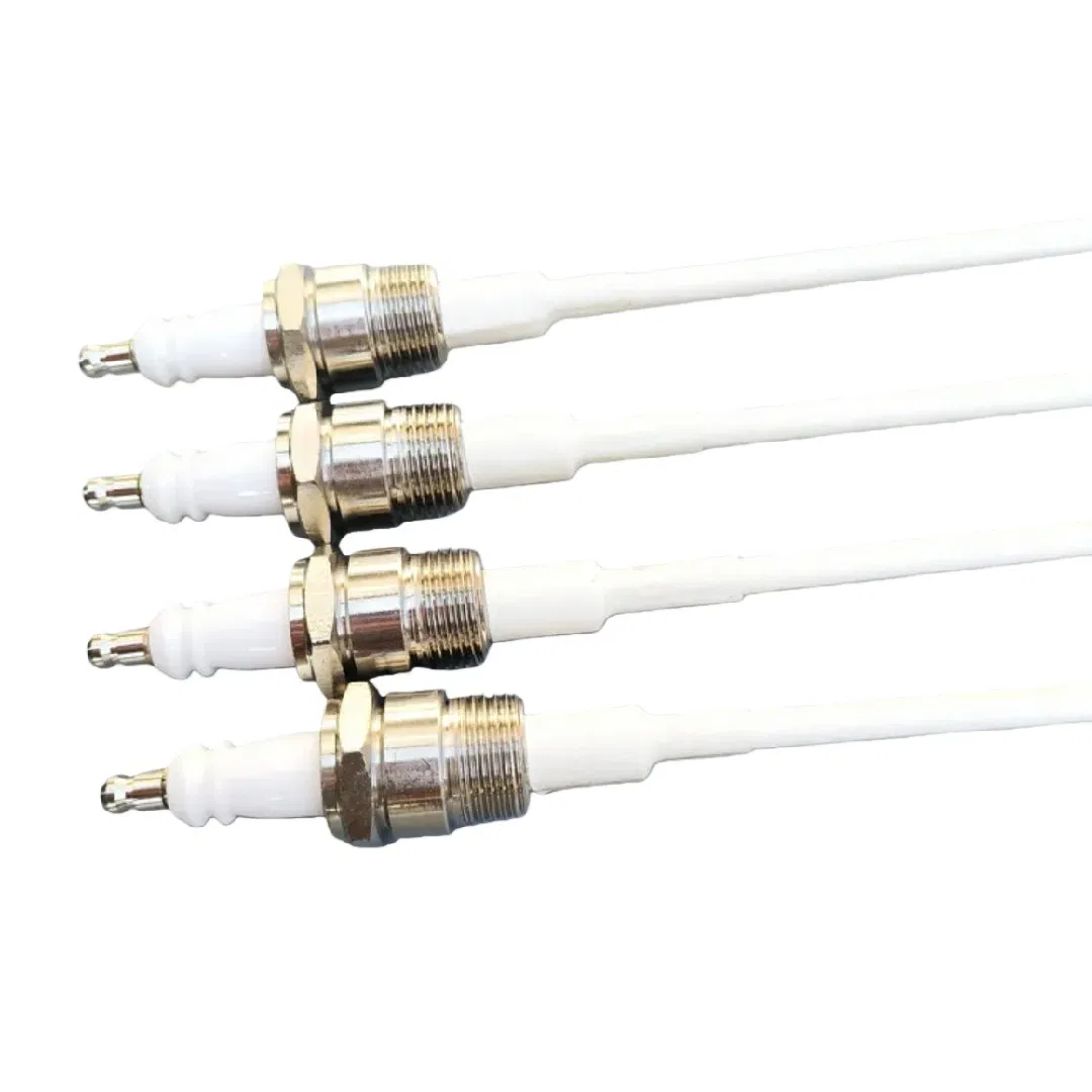 Ignition Flame Spark Ignitor Rod