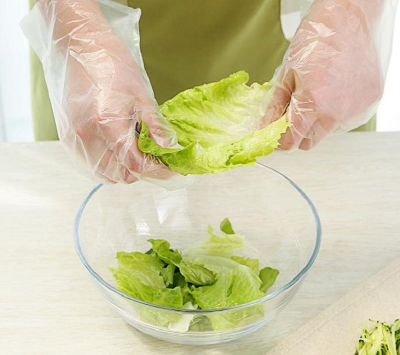 Disposable PE Material Gloves