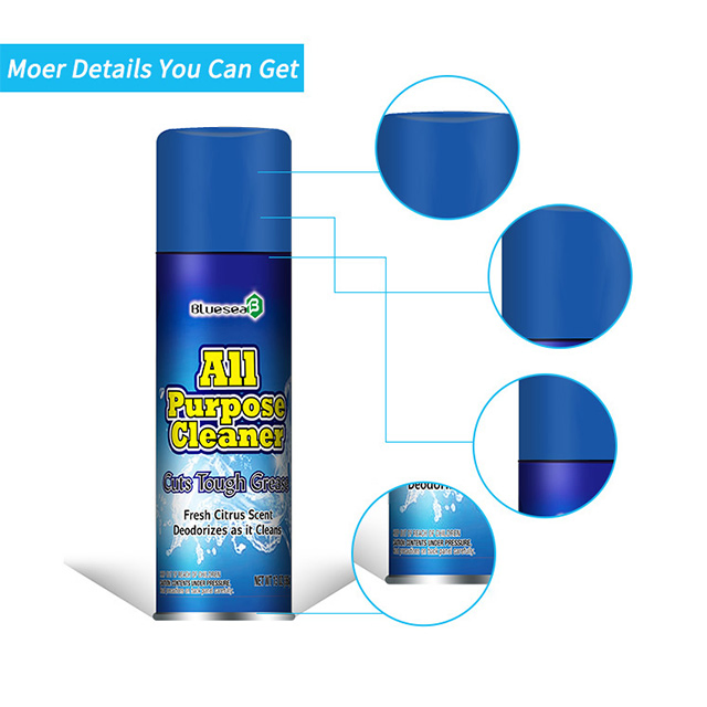 OEM Car Stain Cleaning Detergent Spray Multifunctional Car Foam Cleaner Spray