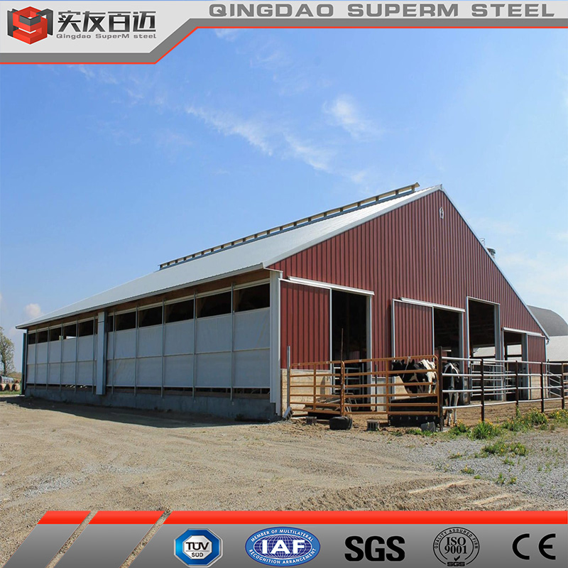 Prefabricated Cattle Goat House Steel Structure Dairy Farm Building