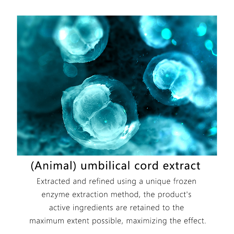 Skin Care OEM/ODM High Purity Umbilical Cord Extract Freeze-Dried Powder