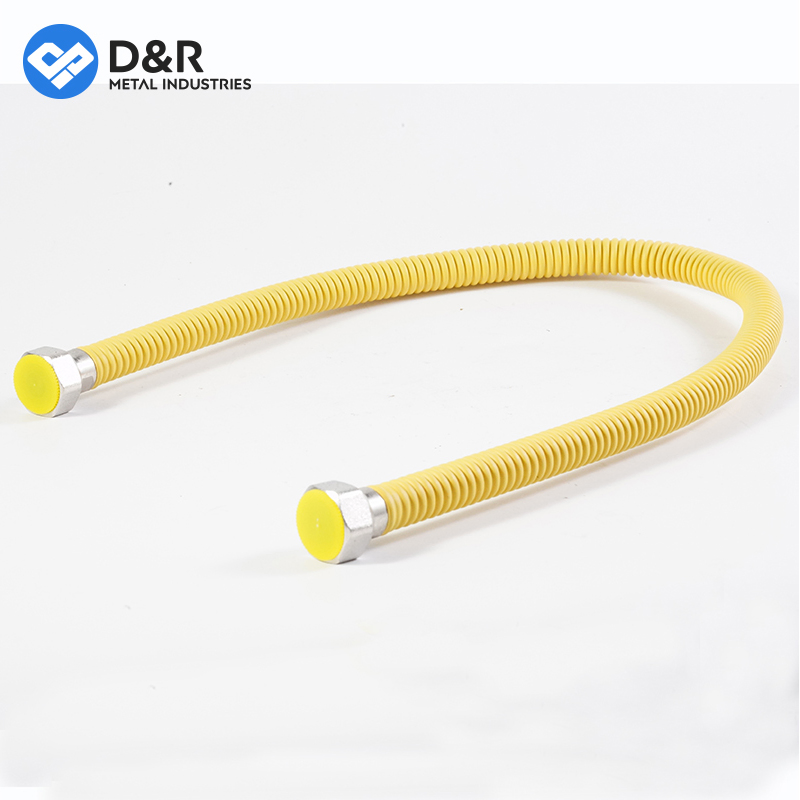 D&R Good Quality 1/2~1" 30cm~50cm SS304 with Brass Screw Flexible Gas Hose