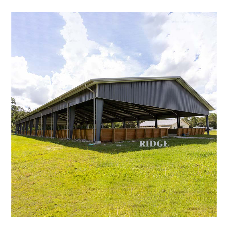 Cheap Price Structural Steel Construction Building Prefabricated Prefab Shed