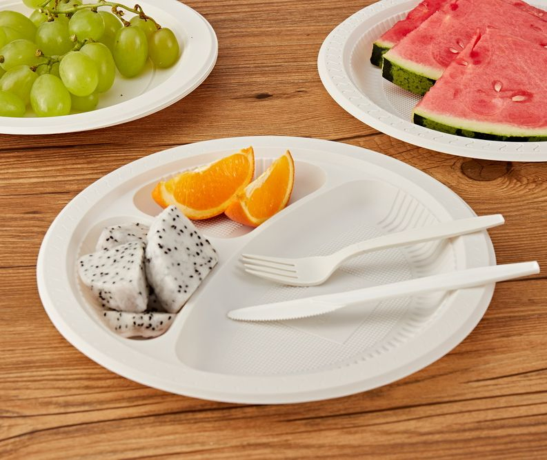 Water-Proof Biodegradable Plates 10 Inch Salad Catering White Round Plate
