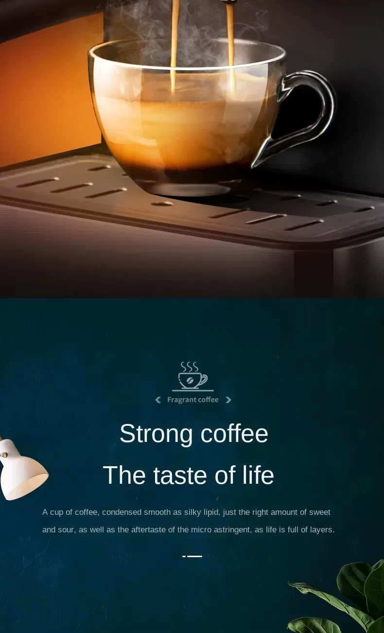 Dual Temperature Control Iced Manual Espresso Coffee Machine Cold Brew Coffee Maker