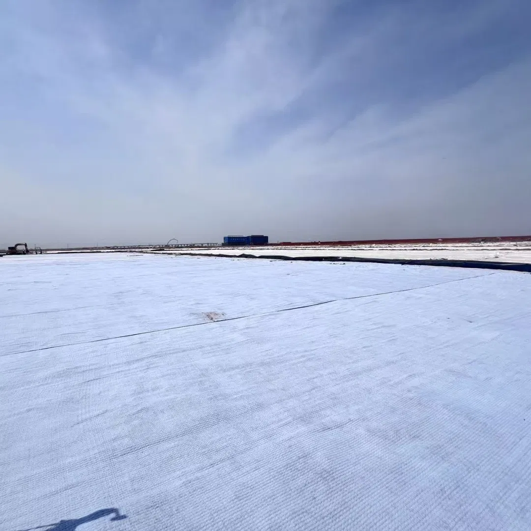 Waterproofing Blanket GCL Geosynthetic Clay Liners Used in Reservoirs and Waste Containment