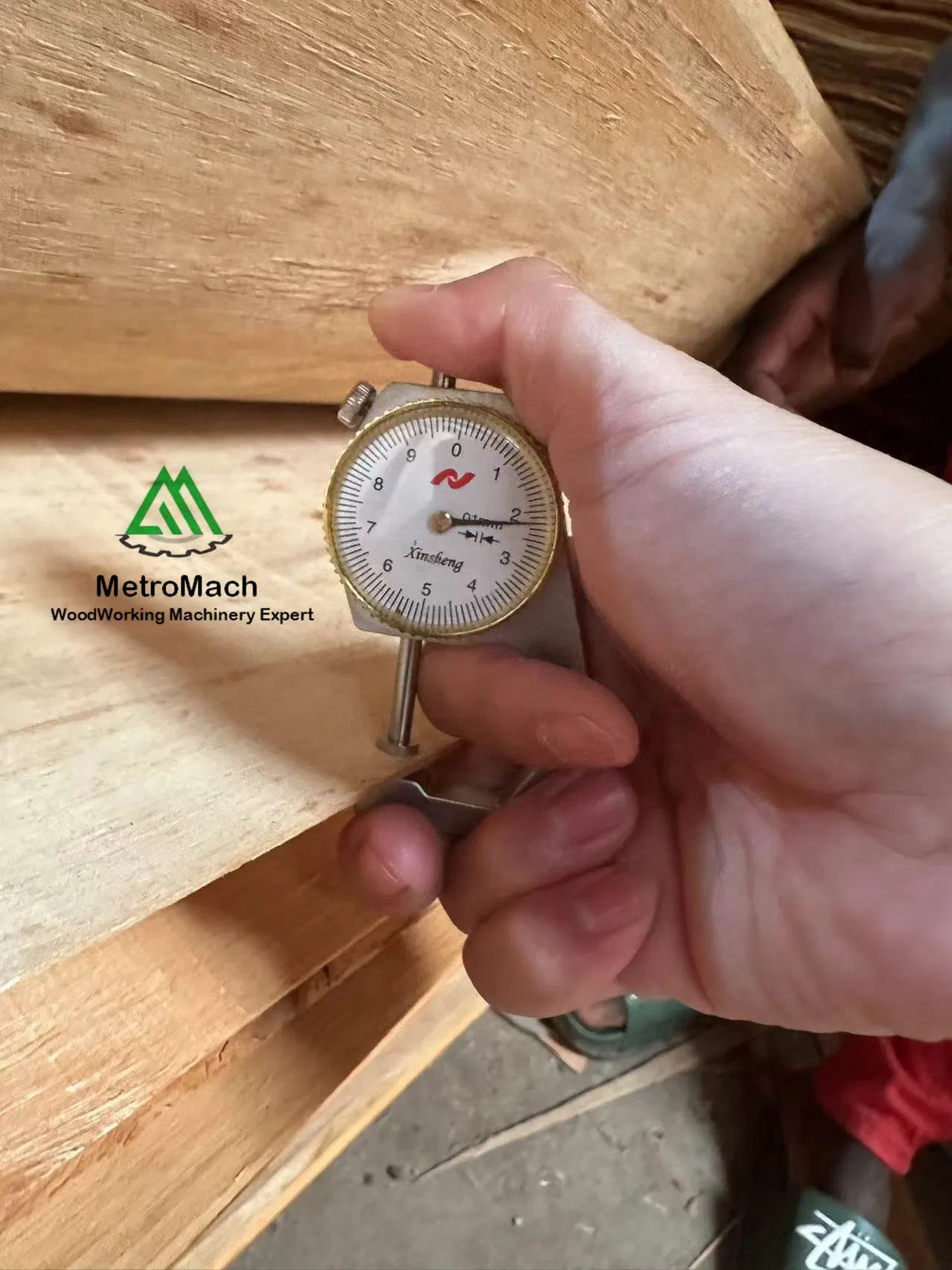 Eucalyptus Core Veneer Board for Producing Plywood, LVL