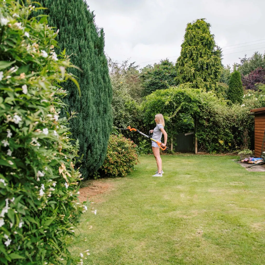 Steel Double Blade Cordless Charger Multi-Position Pole Hedge Lh C41A Trimmer