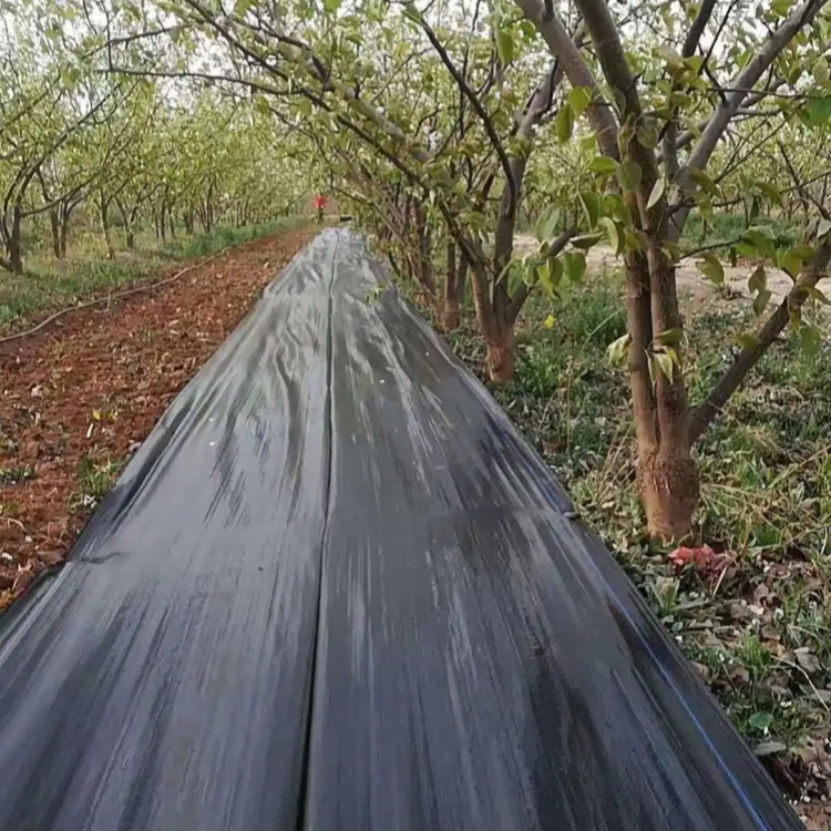 PP Woven Ground Cover Weed Barrier Landscape Fabric for Garden Farm Weed Control