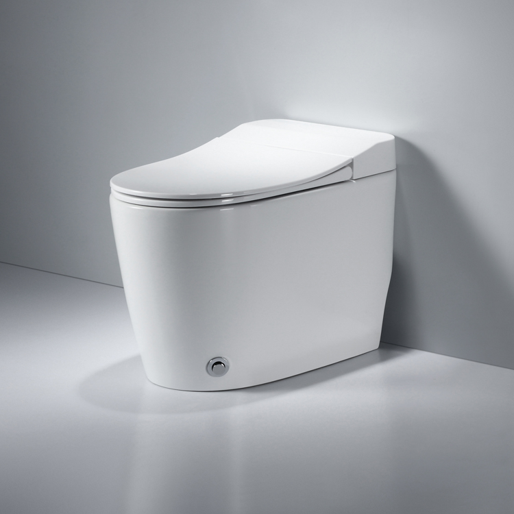 Foot Kick Flushing Ceramic Sanitary Composting One Piece Toilet