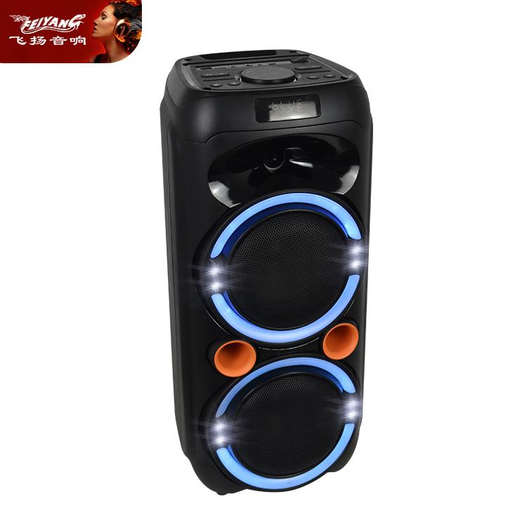 Feiyang New Dual 6.5" Promotion Portable Party Speaker Fg206-17