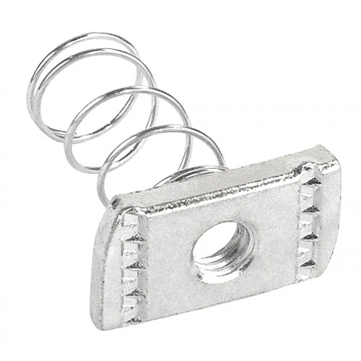 Made in China Stainless Steel 316 Long Spring Nut Channel Nut 40mm Spring Length