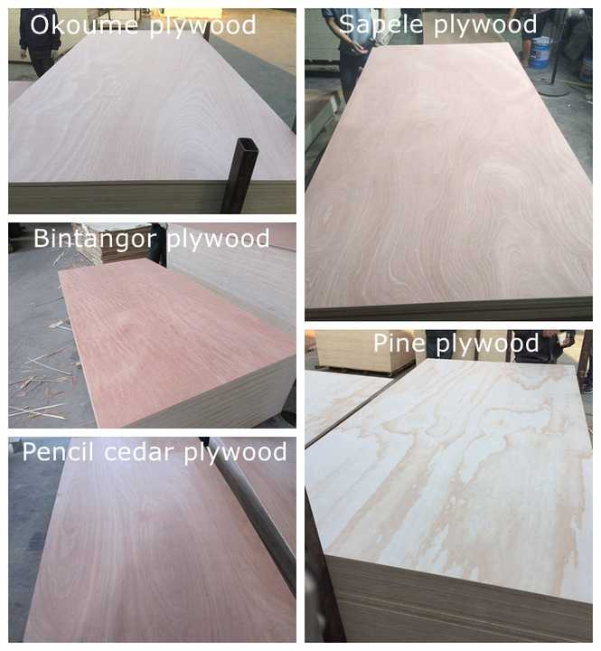 Customizable Pine Veneer Plywood for Lightweight Furniture Projects