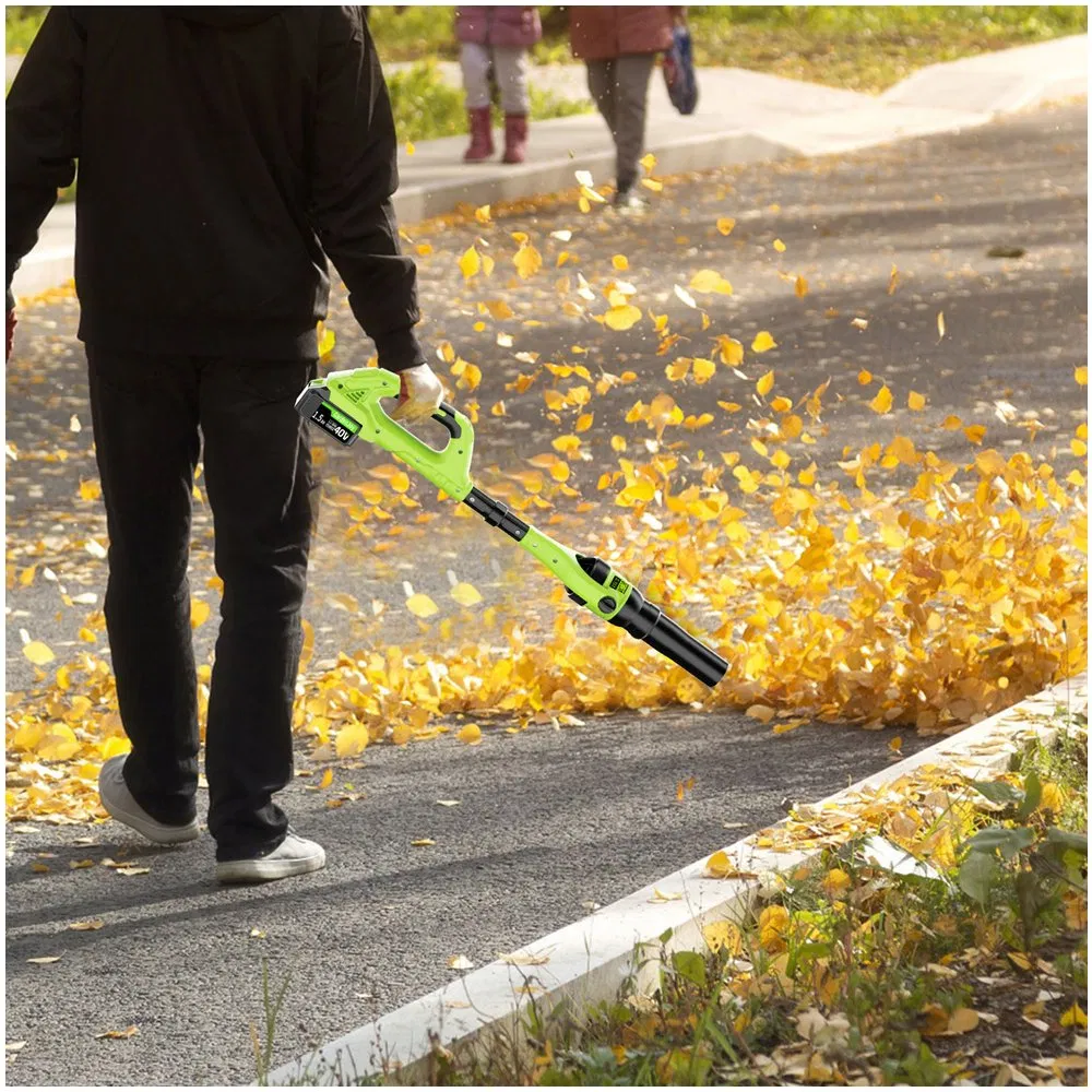 Professionl Air Blower for Sprayer Build Tools Powerful Handheld