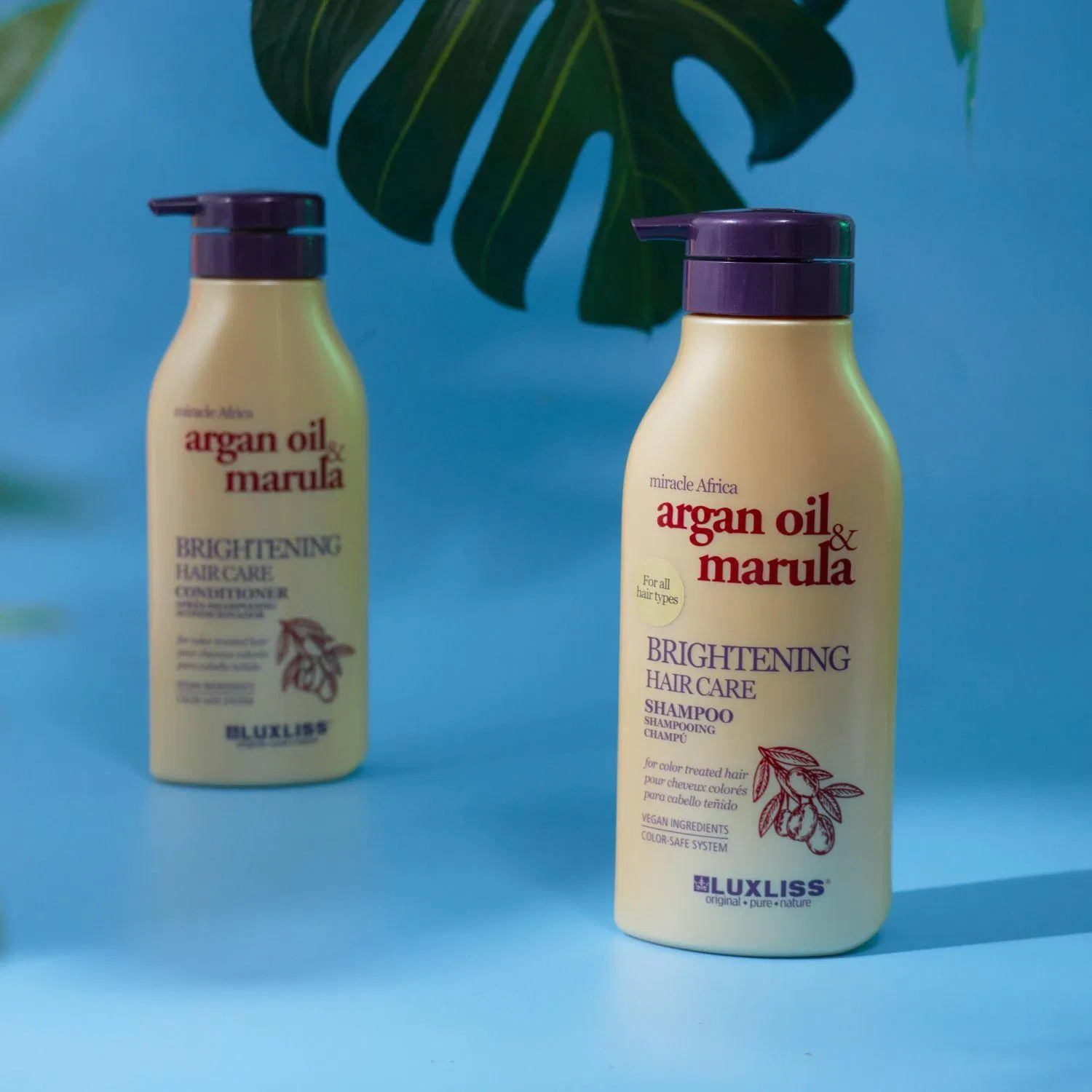 Argan Oil Colored Hair Care Treament Conditioner