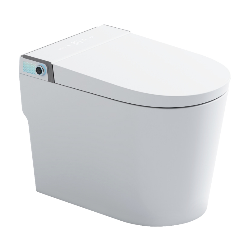 Simple and Popular Fashionable Intelligent Toilet