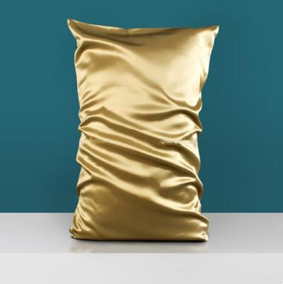 22 mm Slip Version Bright Fabric Double-Sided Silk Pillowcase