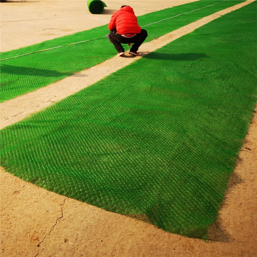 Em4 3D Geomat Geomat/ Erosion Control Mat and Plastic Geomat for Landscape Greening