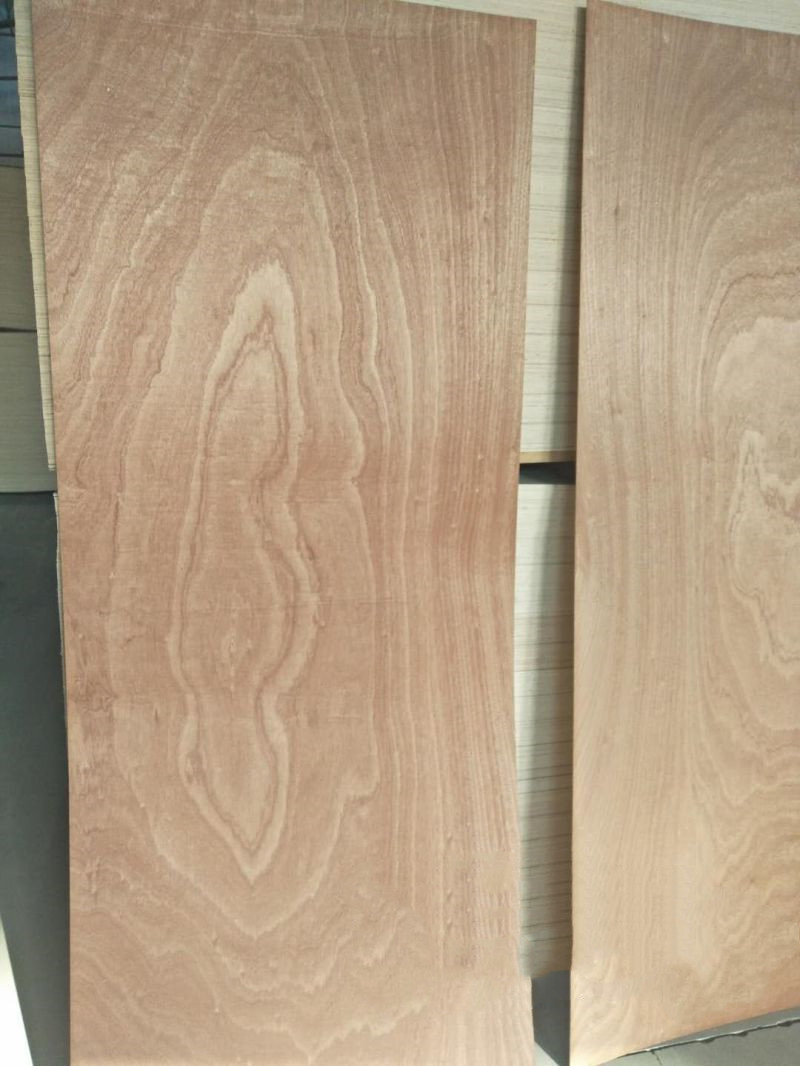 2.7mm 3.0mm Sapele Okoume Bintangor Plain Plywood Door Skin