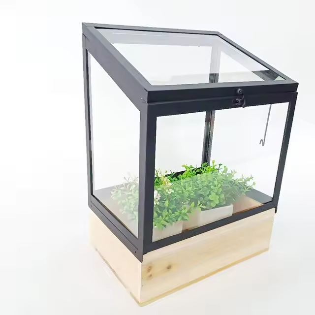 Greenhouse with Wooden Box