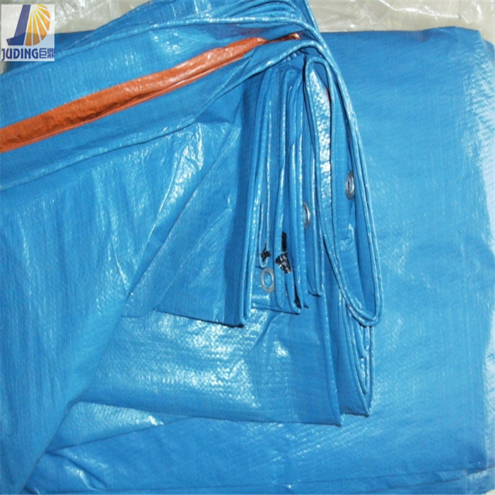 Plastic Canvas Sheet PE Tarpaulin Blue Color Waterproof Outside Cover Truck Cover