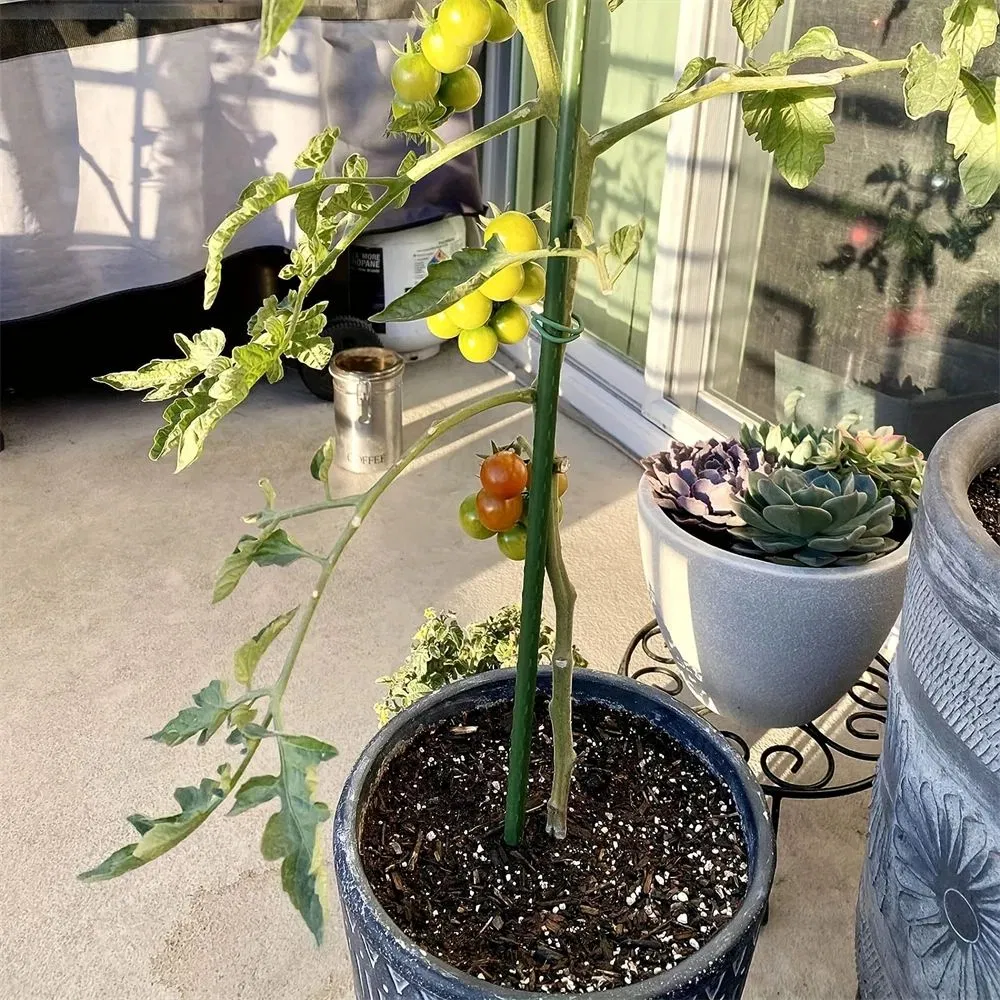 8PCS Garden Stakes Coated Steel Plant Pole for Fixing Trees and Plants, Tomato Sticks Supports for Potted, Yard Plant Support Stakes