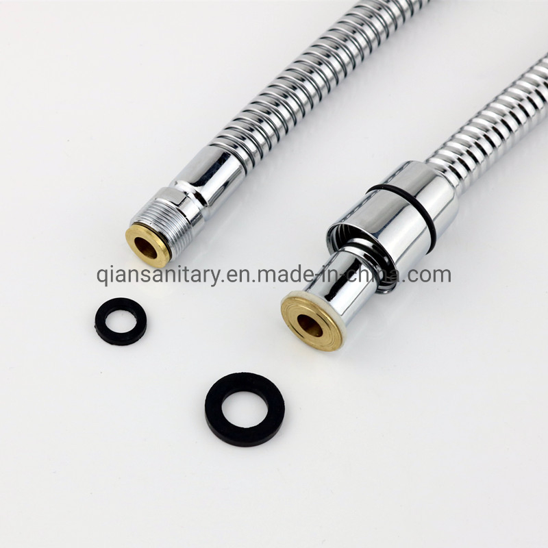 Sanitary Ware Bathroom Accessories Hose
