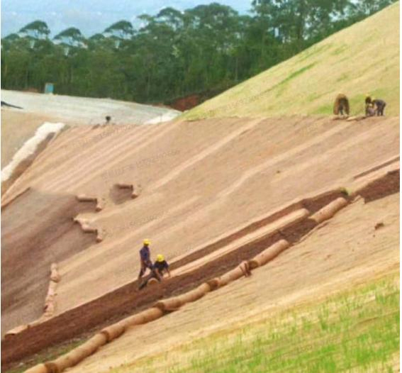 200g 300g 400g 500g 600g Erosion Control Blanket Coir Coconut Fiber Geotextile for Slope Reinforcement