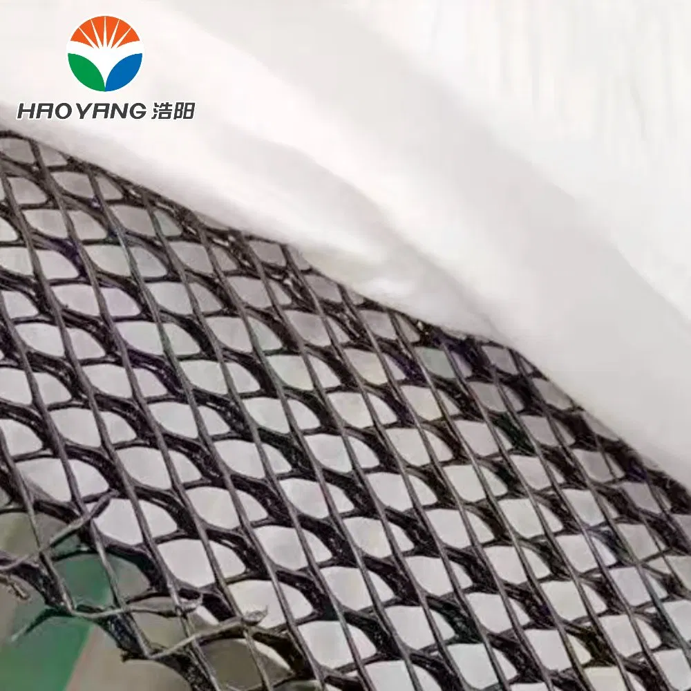 HDPE High Shear Strength 3D Geonet for Landfill Drainage, 6 Width