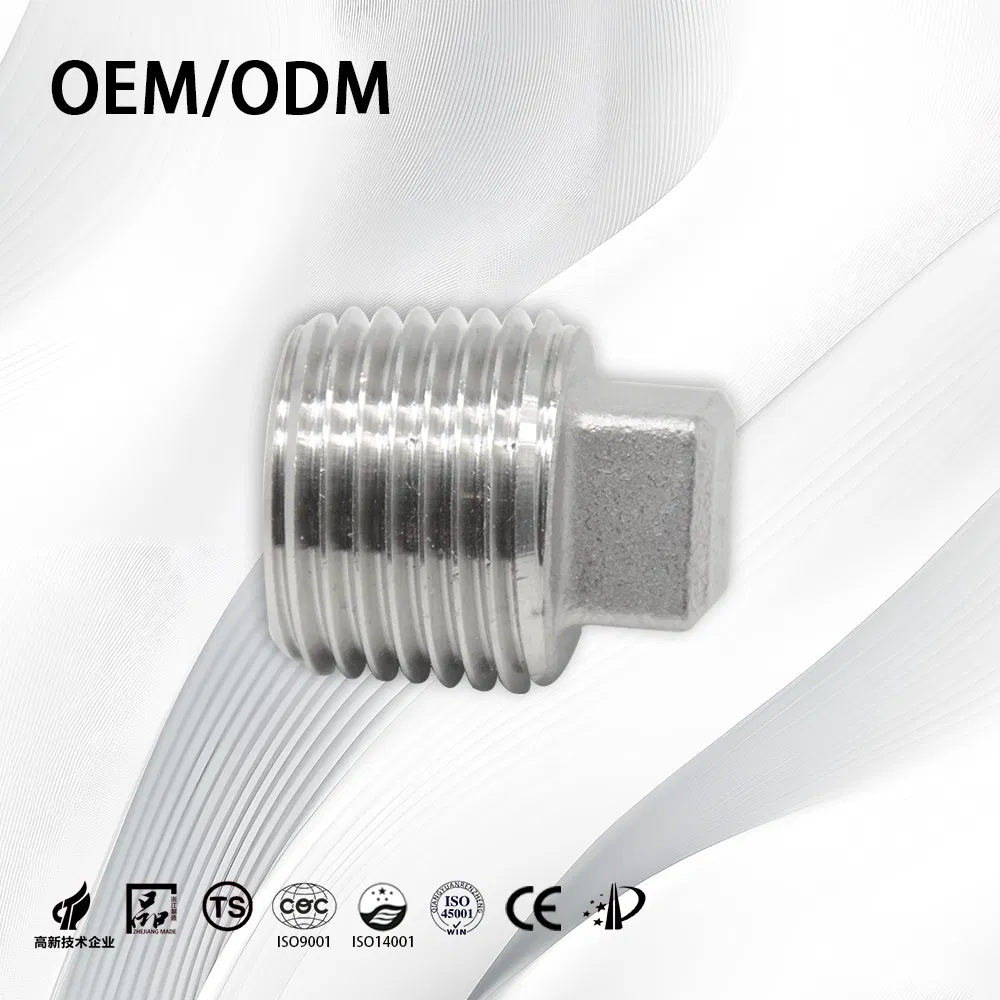 Stainless Steel Industrial Customize OEM NPT BSPT Square End Plug