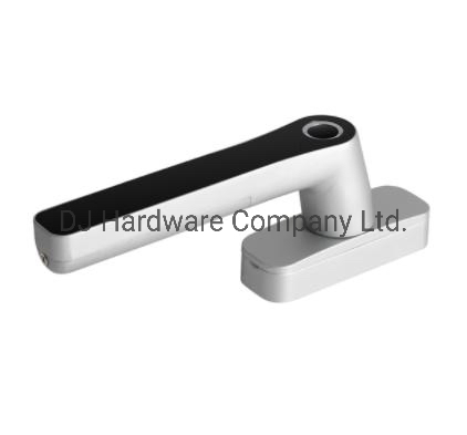 Smart Fingerprint Window Lock Zinc Alloy Electronic Fingerprint Handle Lock